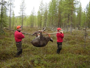 Kesa_ ja syksy 2006 196 